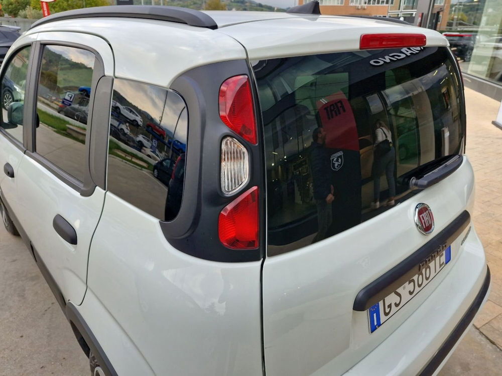 Fiat Panda usata a Cosenza (10)