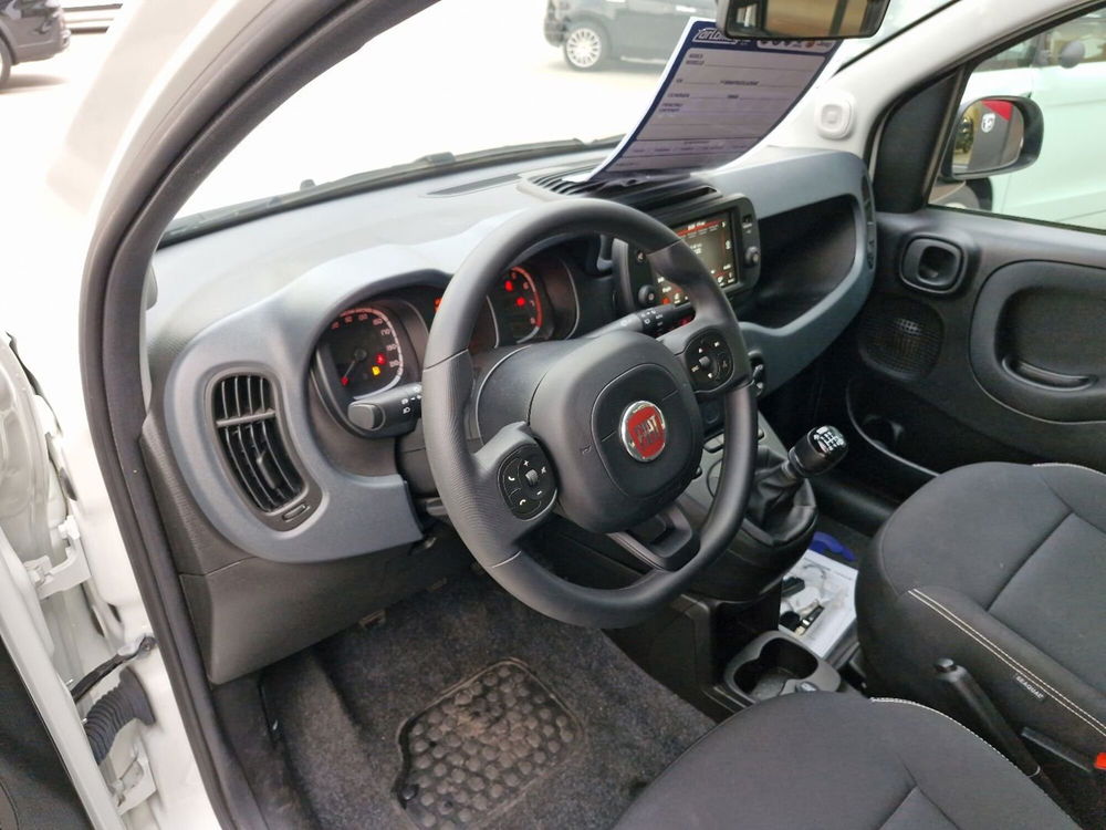 Fiat Panda usata a Cosenza (18)