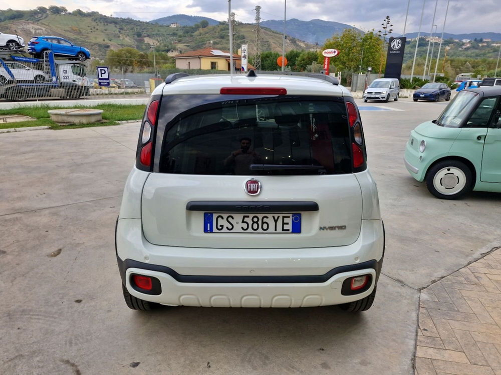 Fiat Panda usata a Cosenza (4)