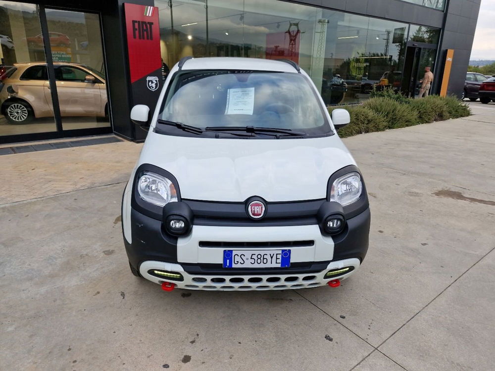 Fiat Panda usata a Cosenza (5)