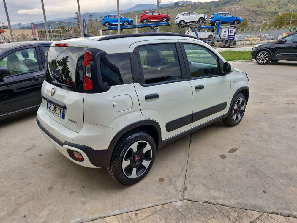 Fiat Panda usata a Cosenza (6)