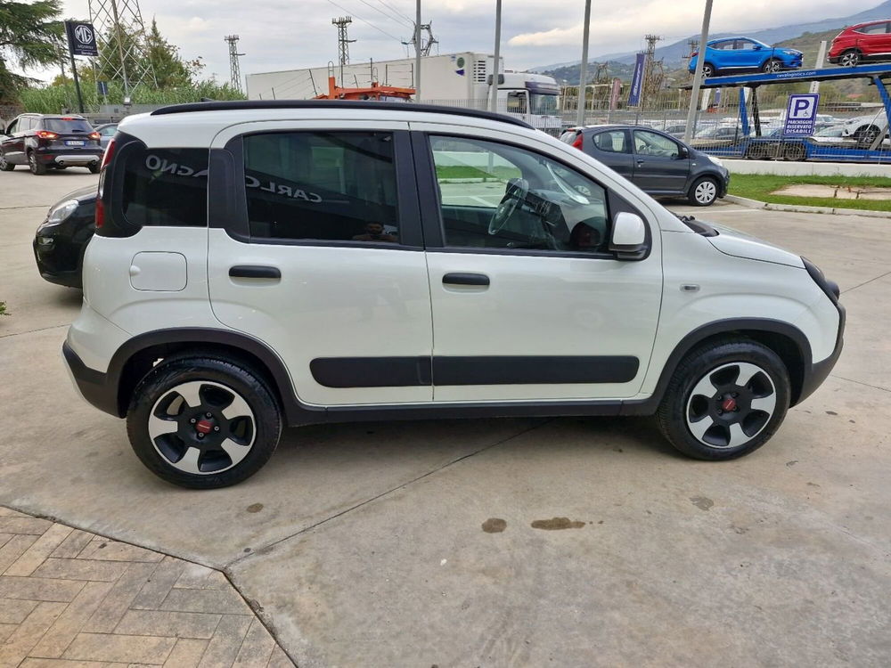 Fiat Panda usata a Cosenza (7)