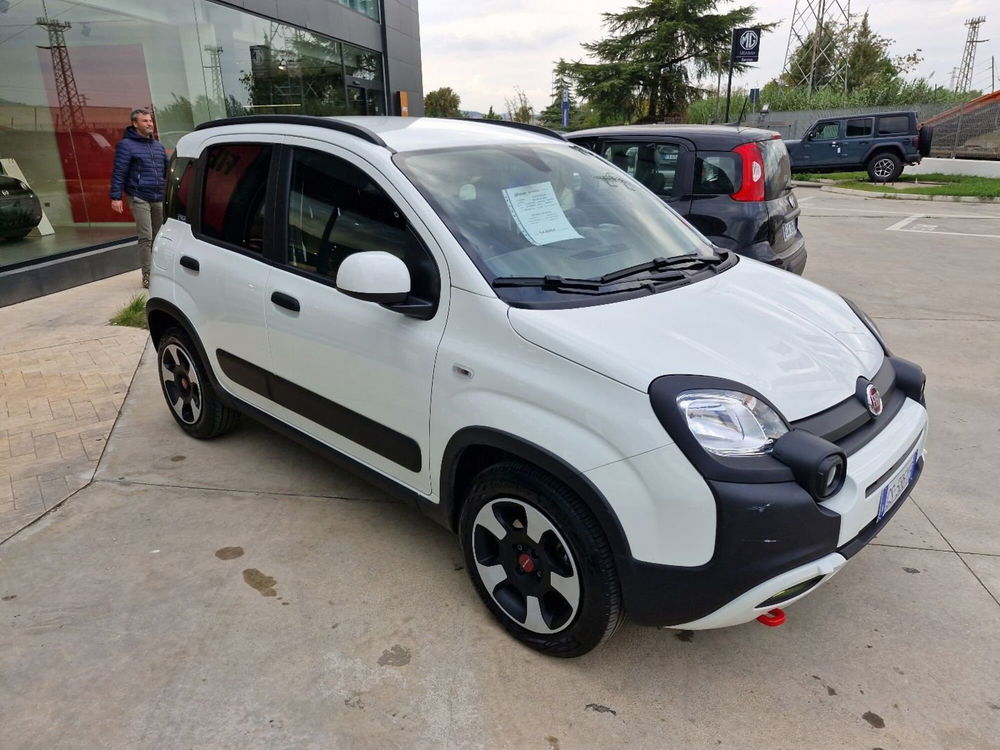 Fiat Panda usata a Cosenza (8)