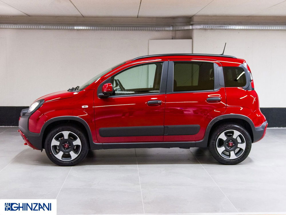 Fiat Panda Cross usata a Bergamo (4)