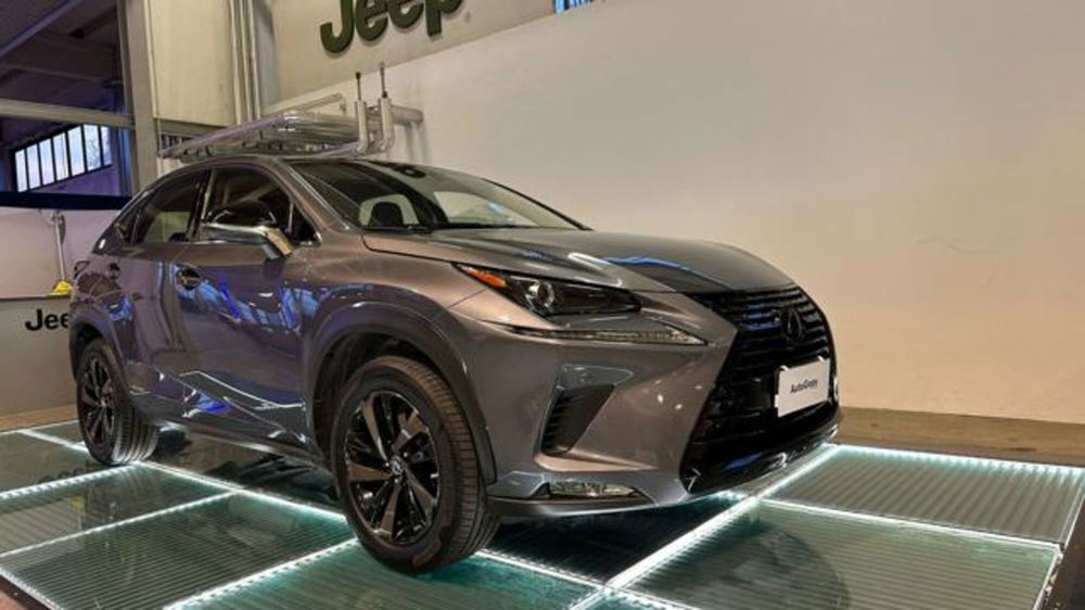 Lexus NX usata a Reggio Emilia