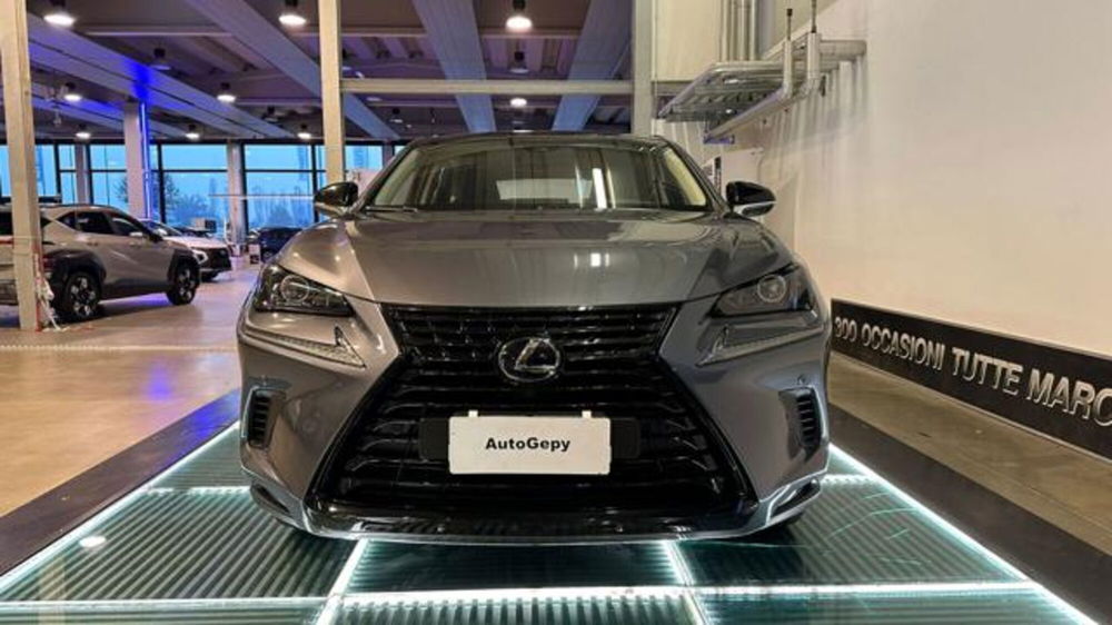 Lexus NX usata a Reggio Emilia (2)