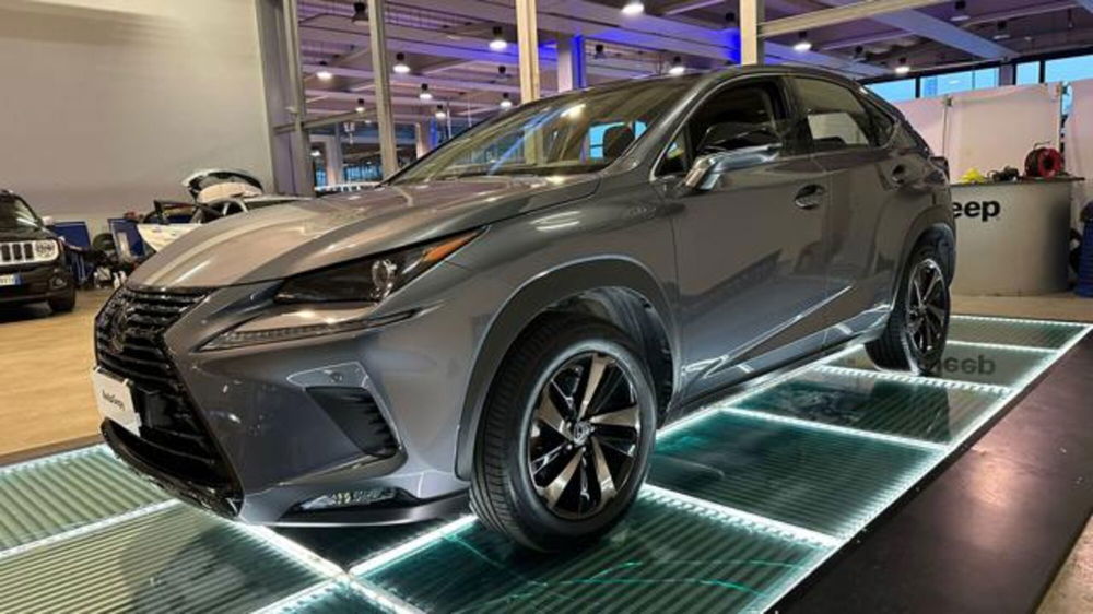 Lexus NX usata a Reggio Emilia (3)