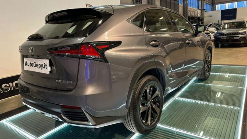 Lexus NX usata a Reggio Emilia (6)