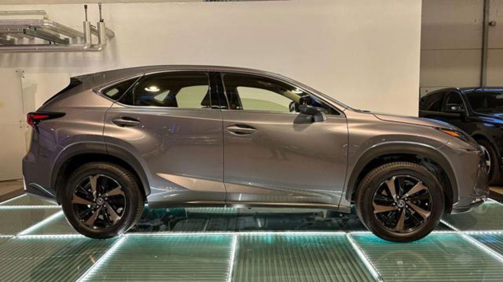 Lexus NX usata a Reggio Emilia (7)