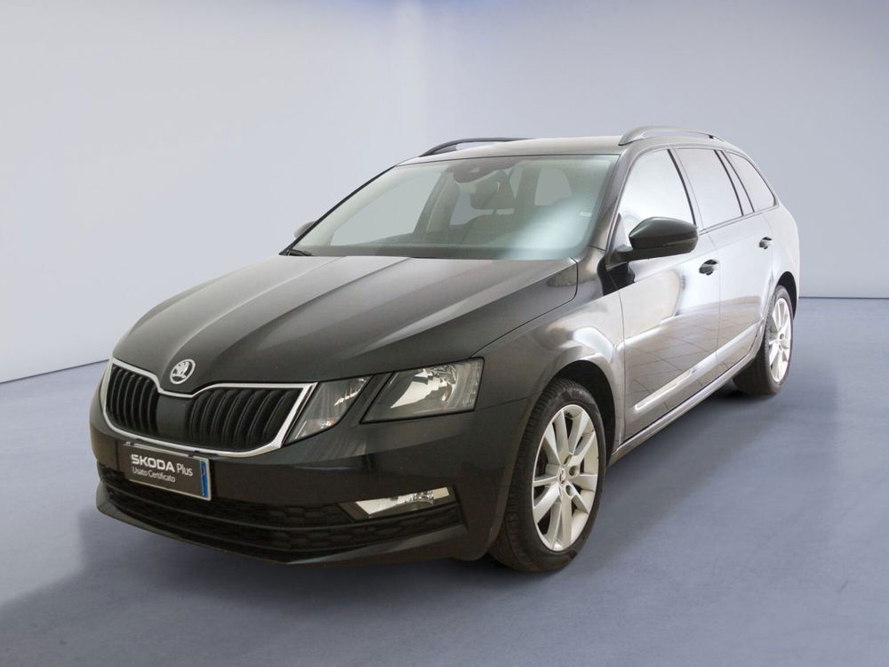 Skoda Octavia Station Wagon usata a Torino (3)