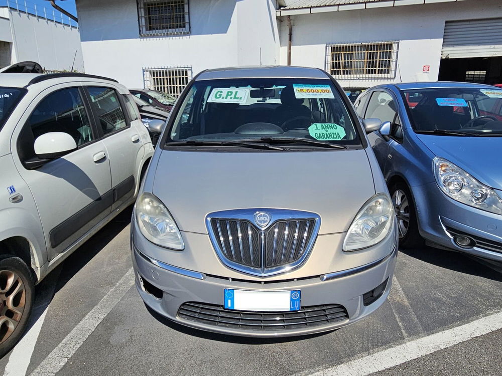 Lancia Musa usata a Lucca (2)