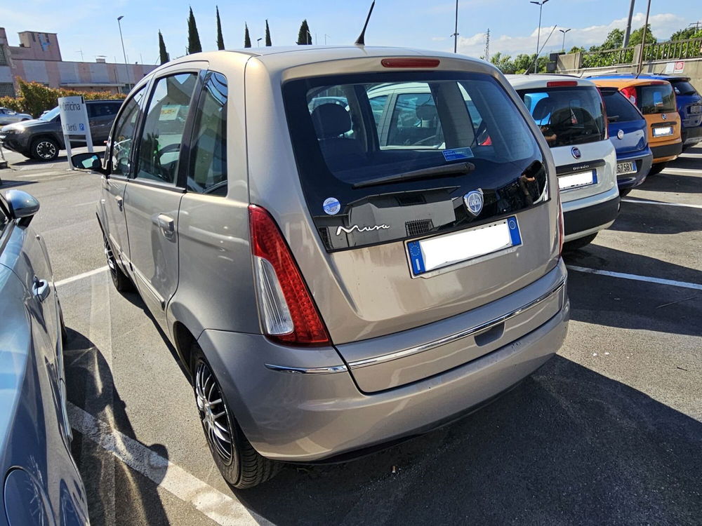 Lancia Musa usata a Lucca (6)