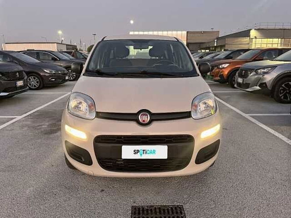 Fiat Panda usata a Ravenna (2)