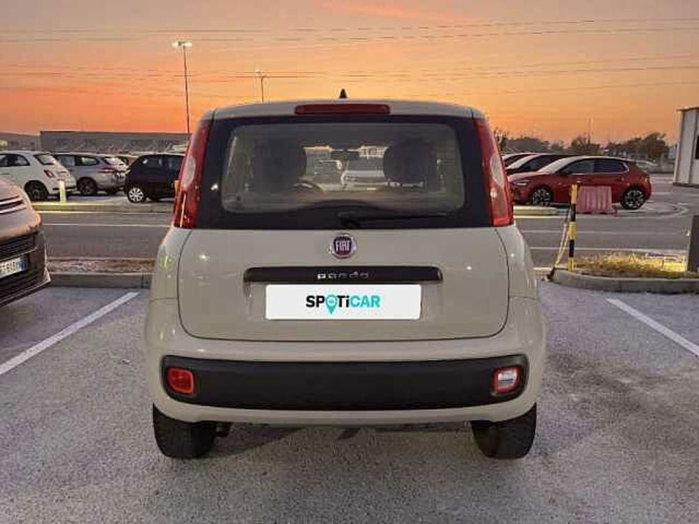 Fiat Panda usata a Ravenna (5)