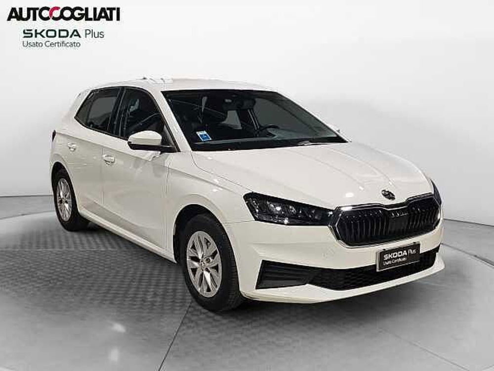 Skoda Fabia usata a Lecco (3)