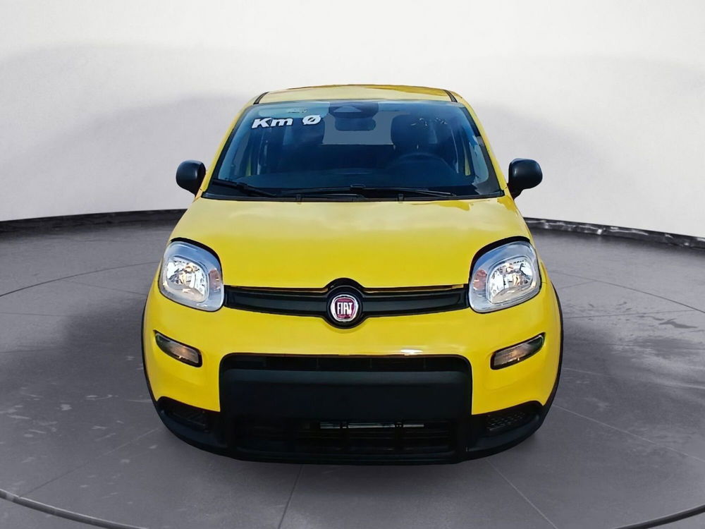 Fiat Panda Cross nuova a Brindisi (5)