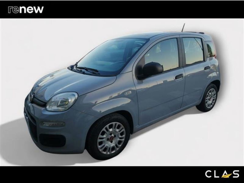 Fiat Panda 1.0 firefly hybrid s&amp;s 70cv 5p.ti del 2021 usata a Livorno