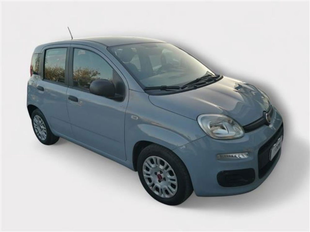 Fiat Panda usata a Livorno (6)