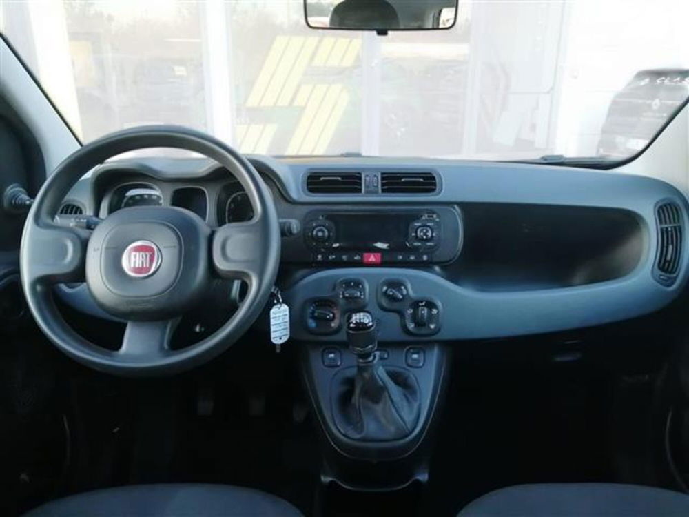 Fiat Panda usata a Livorno (9)