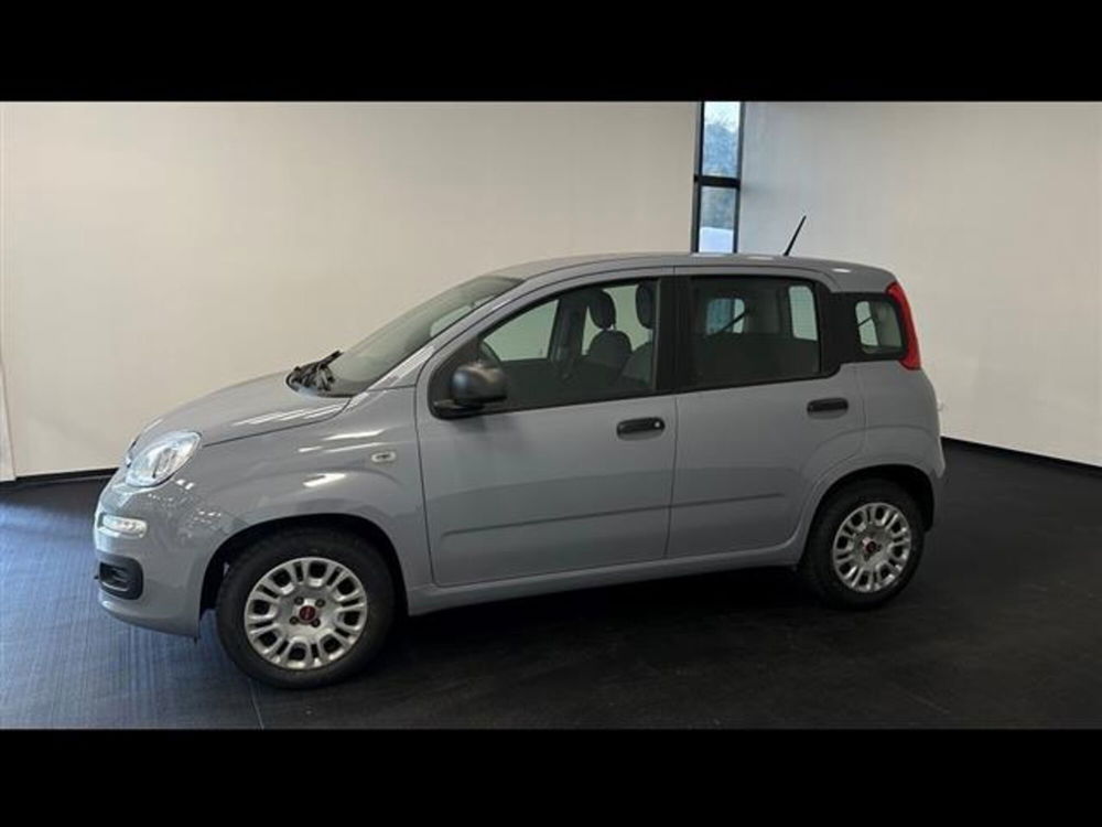 Fiat Panda usata a Siena (3)