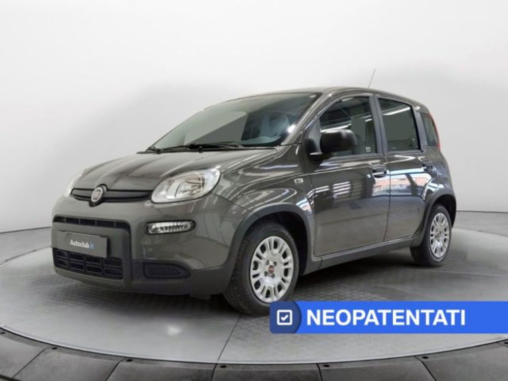 Fiat Panda usata a Modena