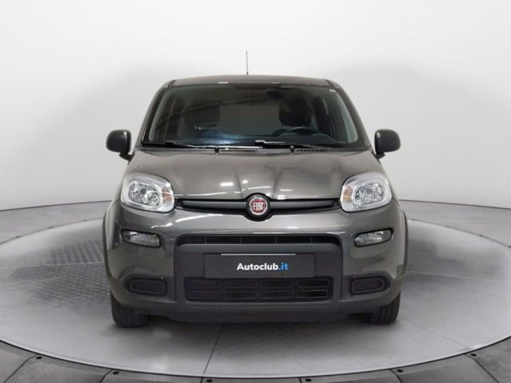 Fiat Panda usata a Modena (17)