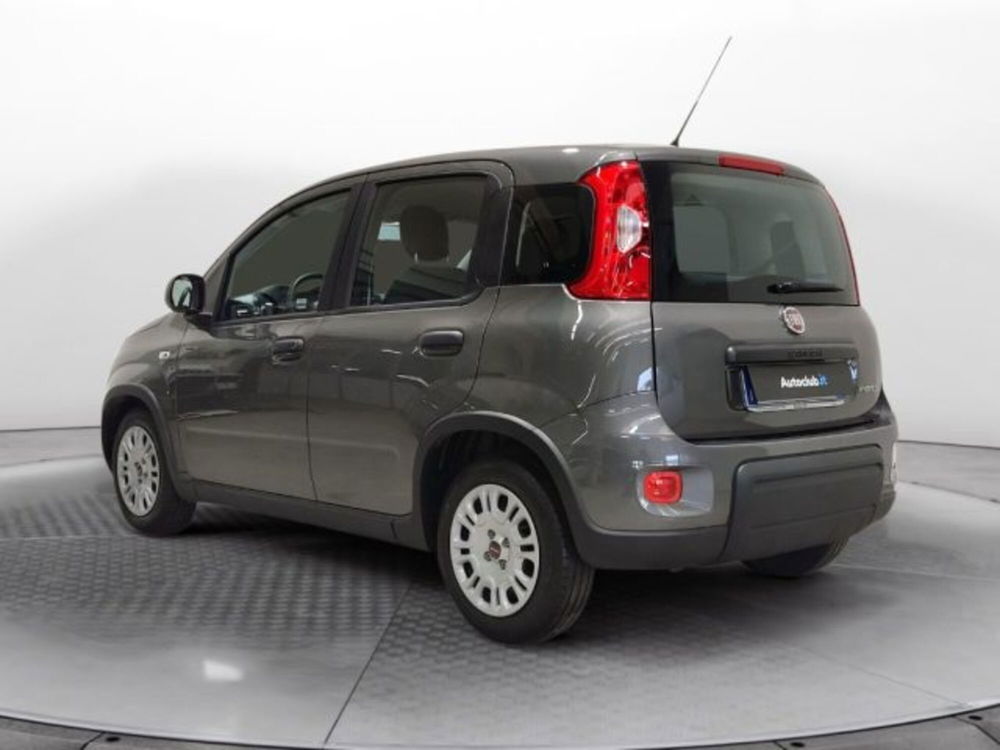 Fiat Panda usata a Modena (18)