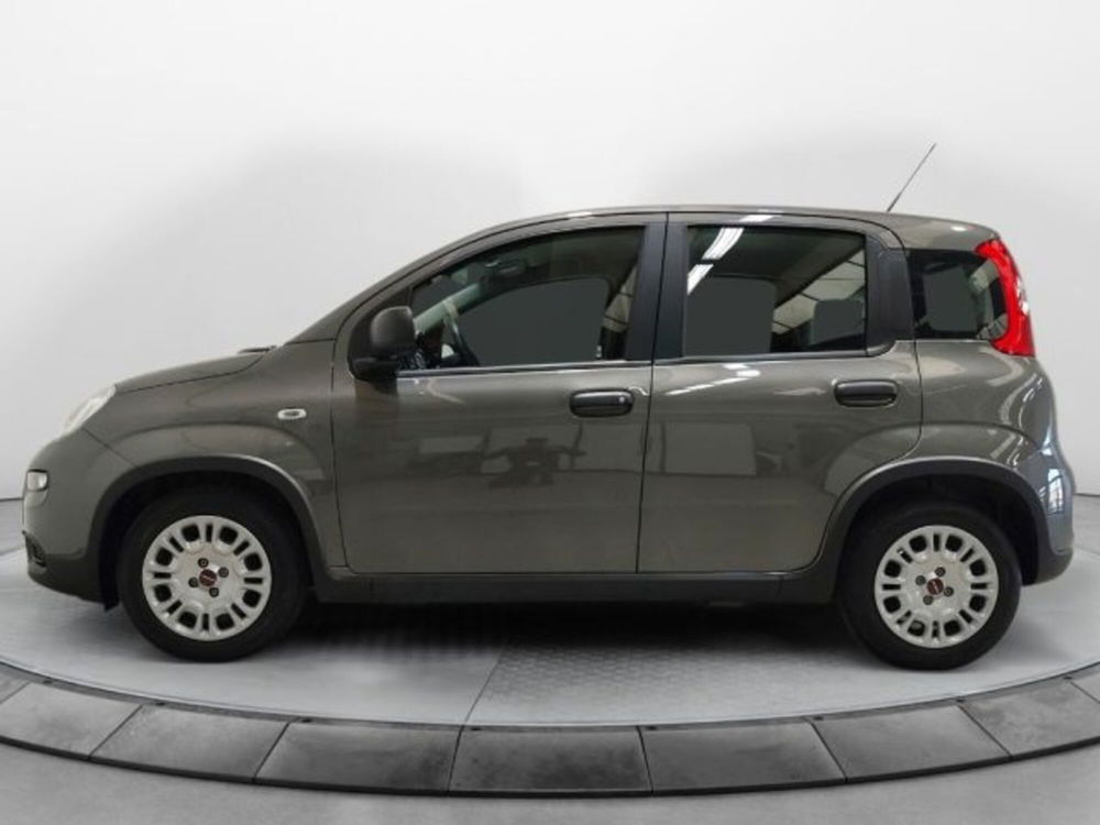 Fiat Panda usata a Modena (3)