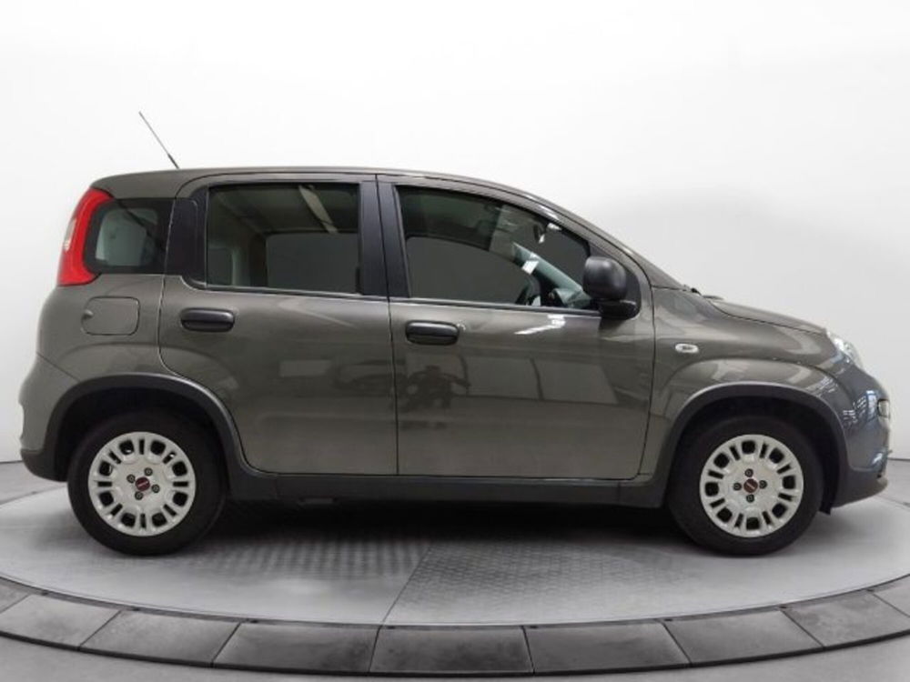 Fiat Panda usata a Modena (4)