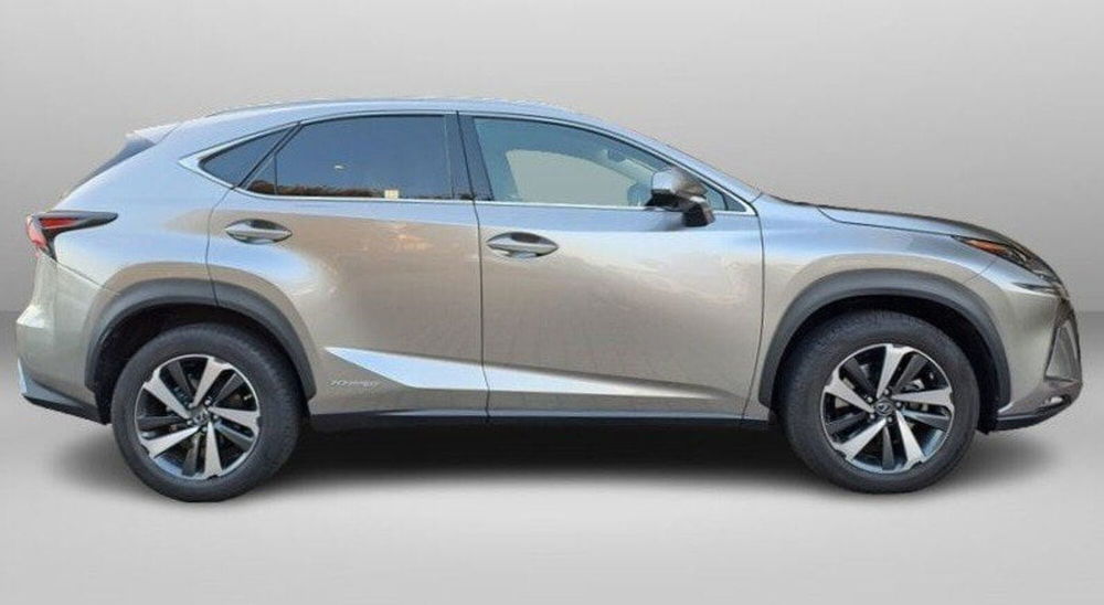 Lexus NX usata a Lecco (4)