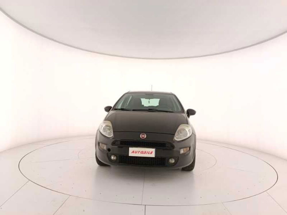 Fiat Punto usata a Treviso (2)