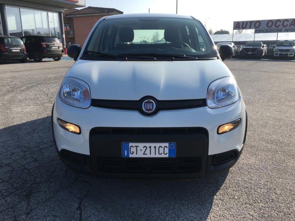 Fiat Panda usata a Cuneo (3)