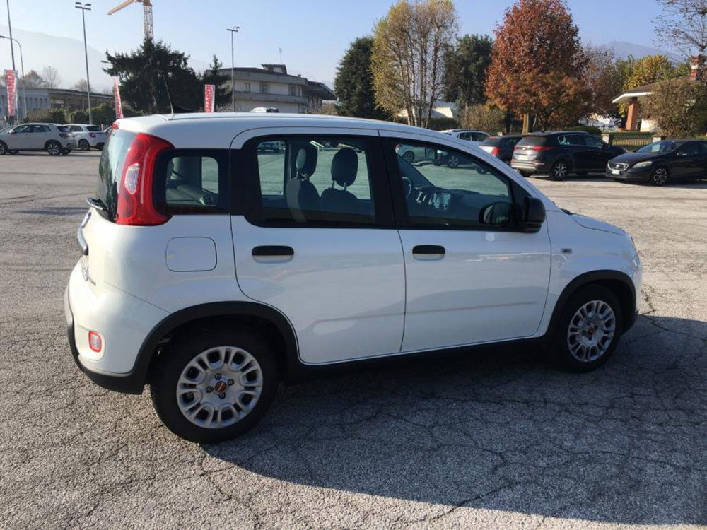 Fiat Panda usata a Cuneo (4)