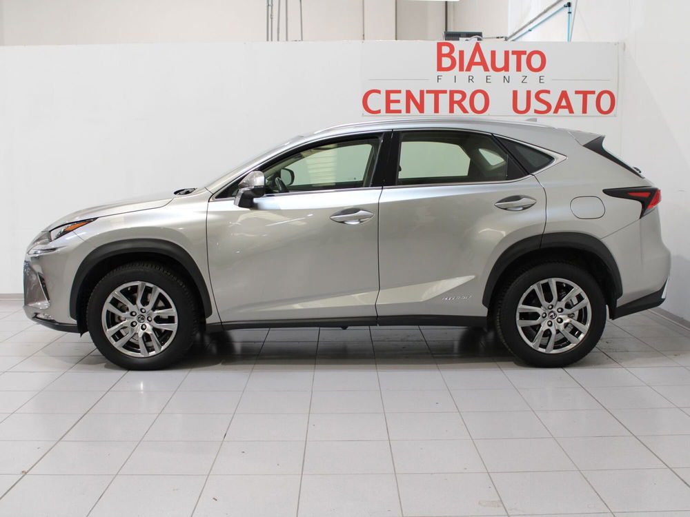 Lexus NX usata a Firenze (3)