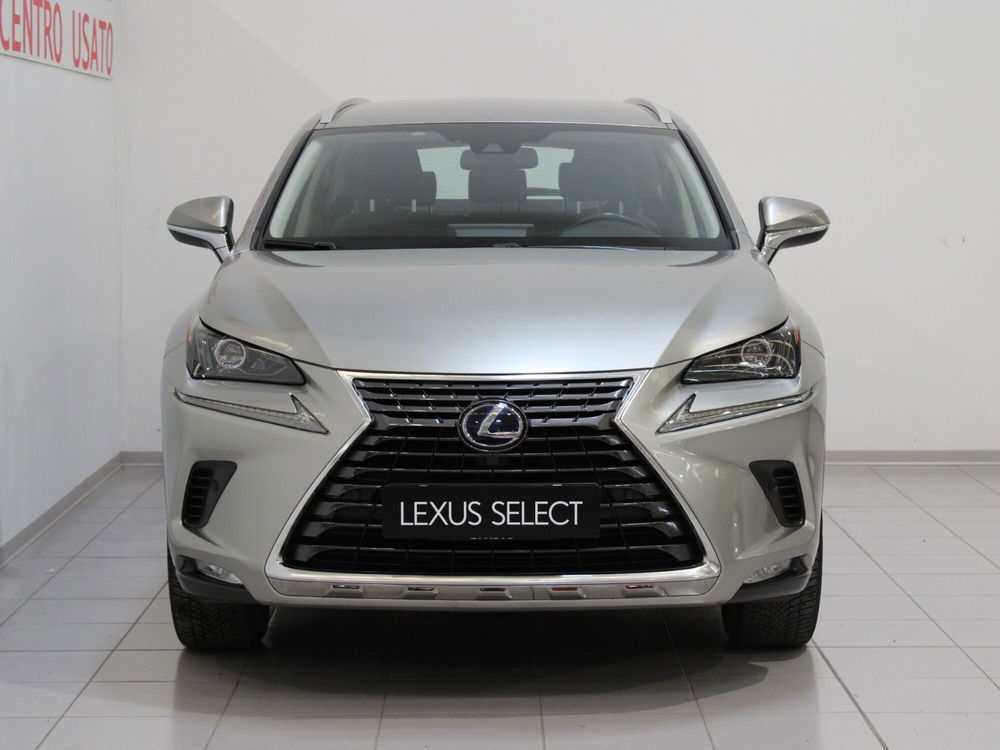 Lexus NX usata a Firenze (4)