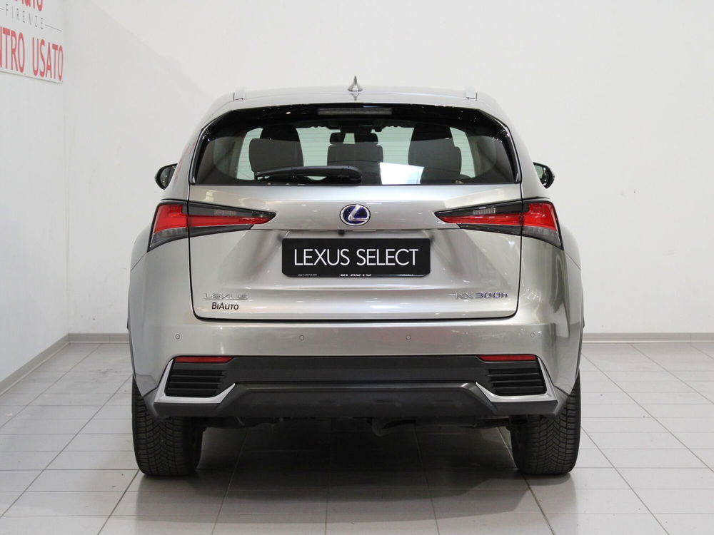 Lexus NX usata a Firenze (5)