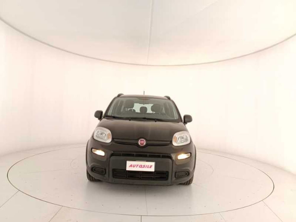 Fiat Panda usata a Treviso (2)