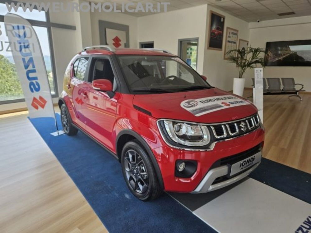 Suzuki Ignis nuova a Campobasso (2)