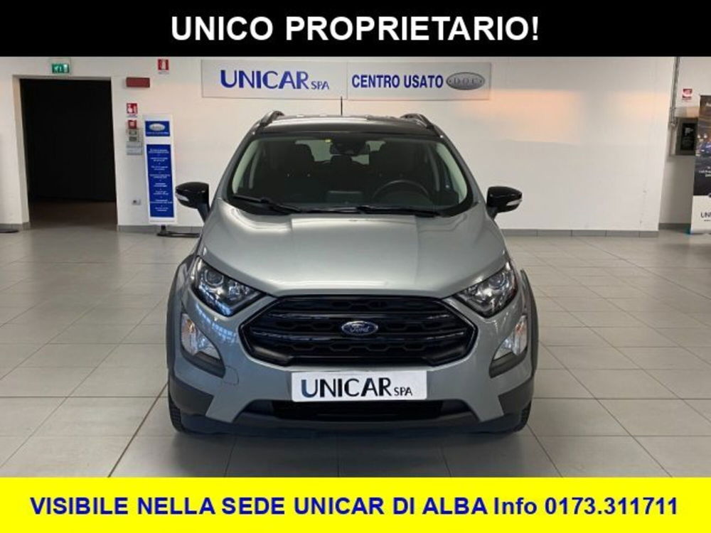 Ford EcoSport usata a Cuneo (2)