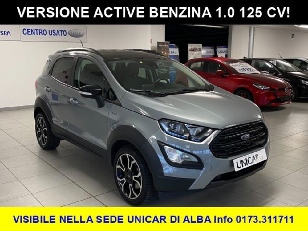 Ford EcoSport usata a Cuneo (3)