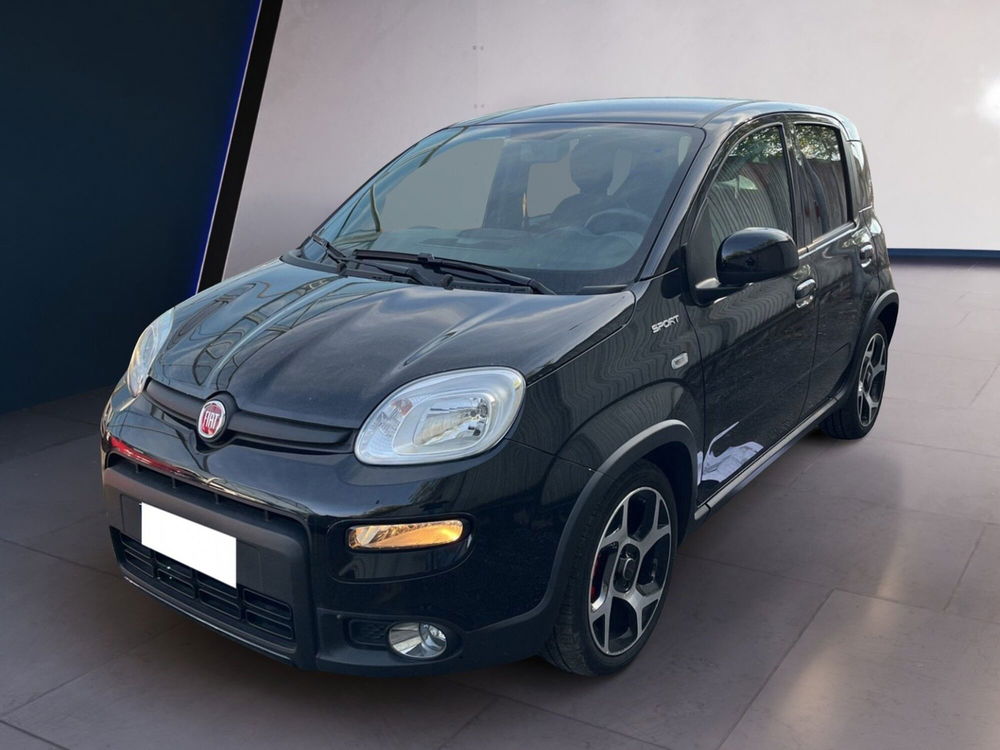 Fiat Panda usata a Torino (2)