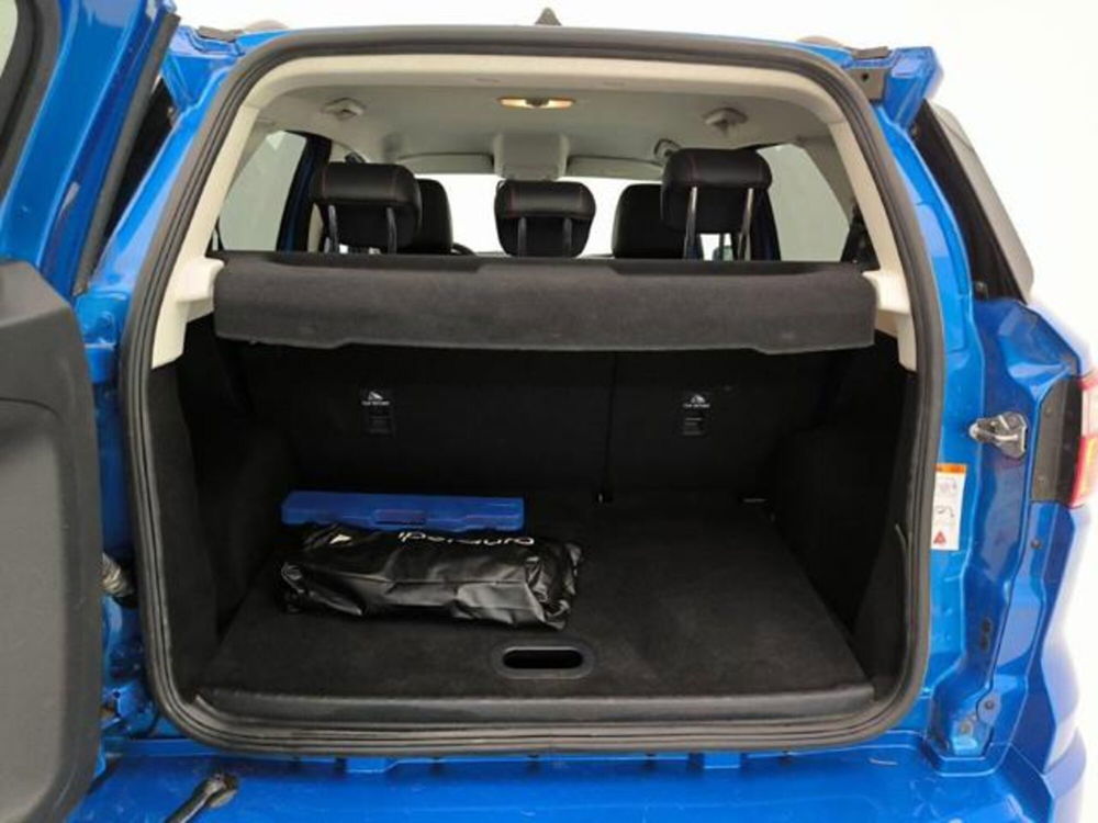 Ford EcoSport usata a Pavia (14)