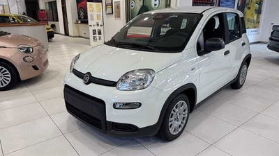 Fiat Pandina 1.0 firefly hybrid s&amp;s 70cv nuova a Legnano