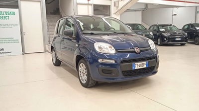 Fiat Panda 1.2 EasyPower Easy  del 2019 usata a Torino