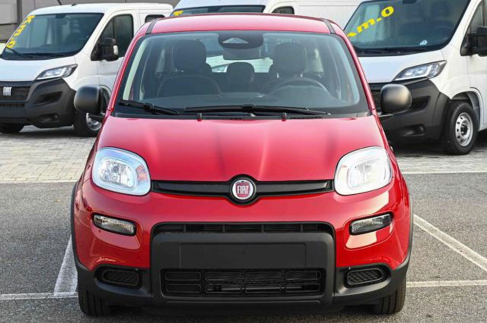 Fiat Panda nuova a Torino (2)