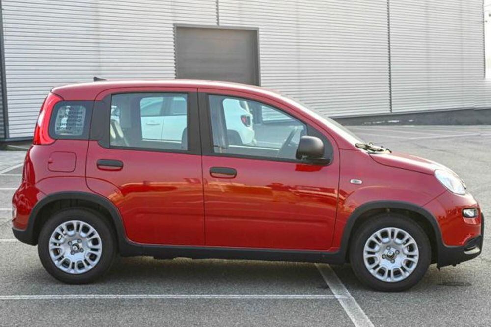 Fiat Panda nuova a Torino (4)