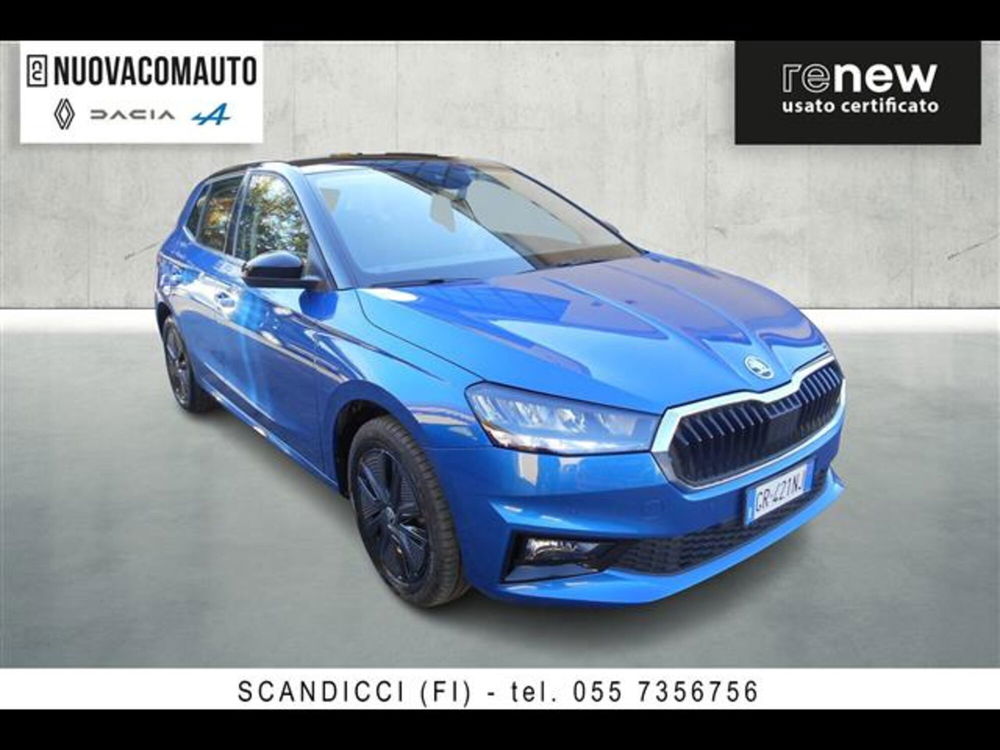 Skoda Fabia usata a Firenze (2)