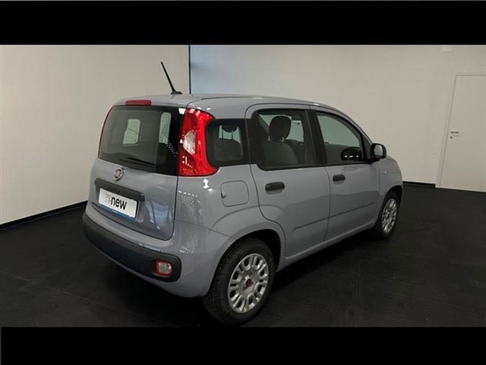 Fiat Panda usata a Siena (12)