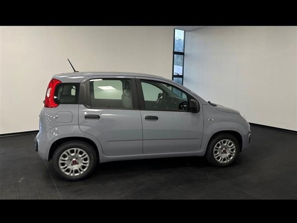 Fiat Panda usata a Siena (13)