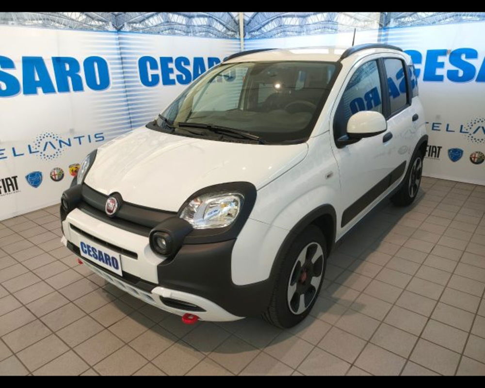 Fiat Panda Cross usata a Aosta